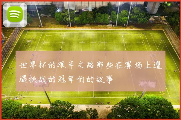 世界杯的艰辛之路那些在赛场上遭遇挑战的冠军们的故事