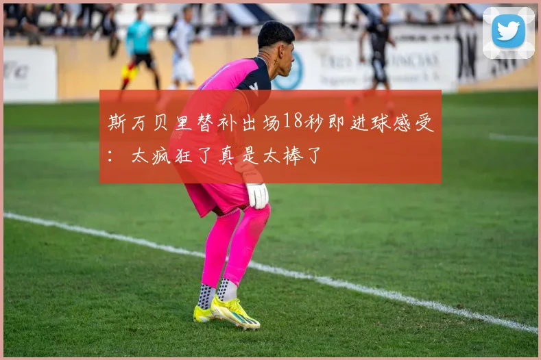 斯万贝里替补出场18秒即进球感受：太疯狂了真是太棒了