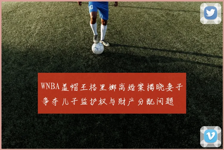 WNBA盖帽王格里娜离婚案揭晓妻子争夺儿子监护权与财产分配问题